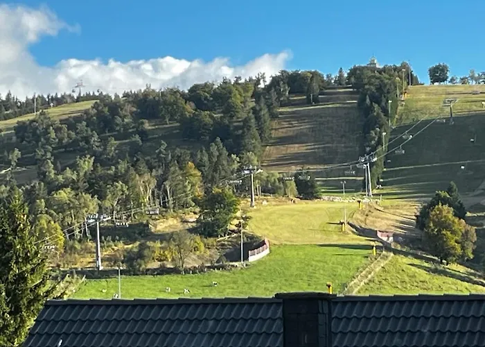 With Mountain View 아파트 *