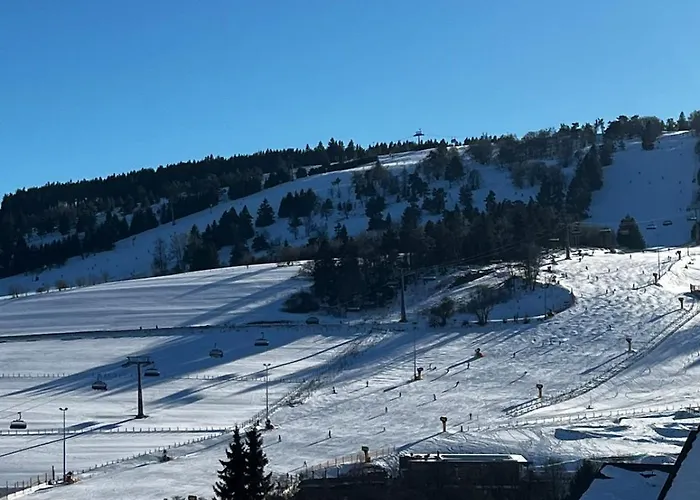 With Mountain View 아파트 빌링겐